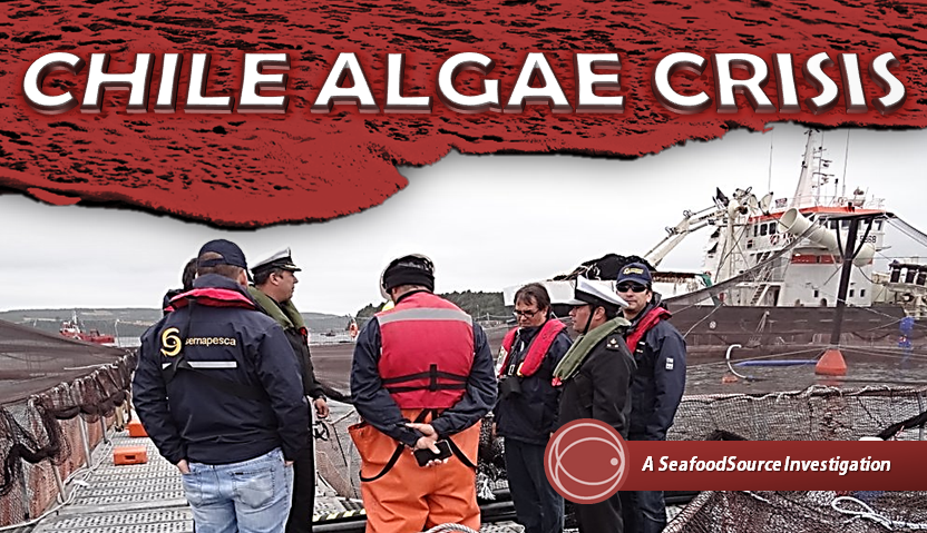 Chile_Algae_Banner.png